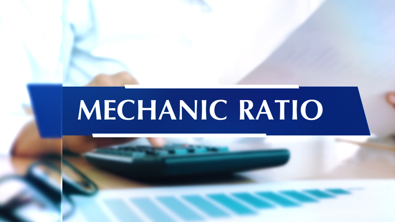 Mechanic Ratio